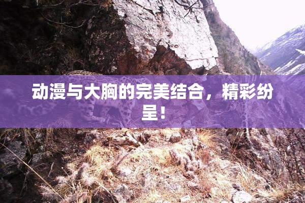动漫与大胸的完美结合，精彩纷呈！