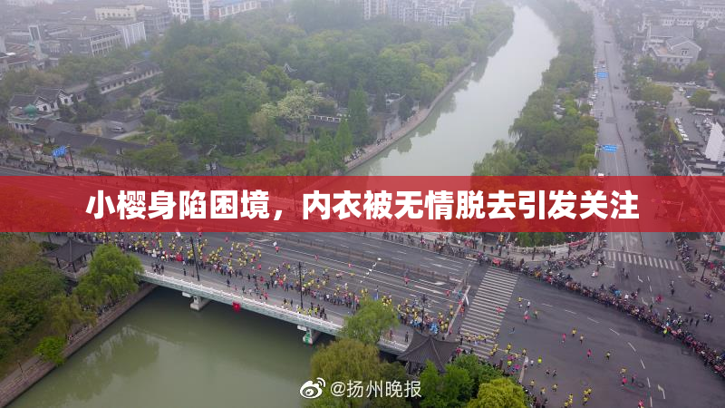 小樱身陷困境，内衣被无情脱去引发关注