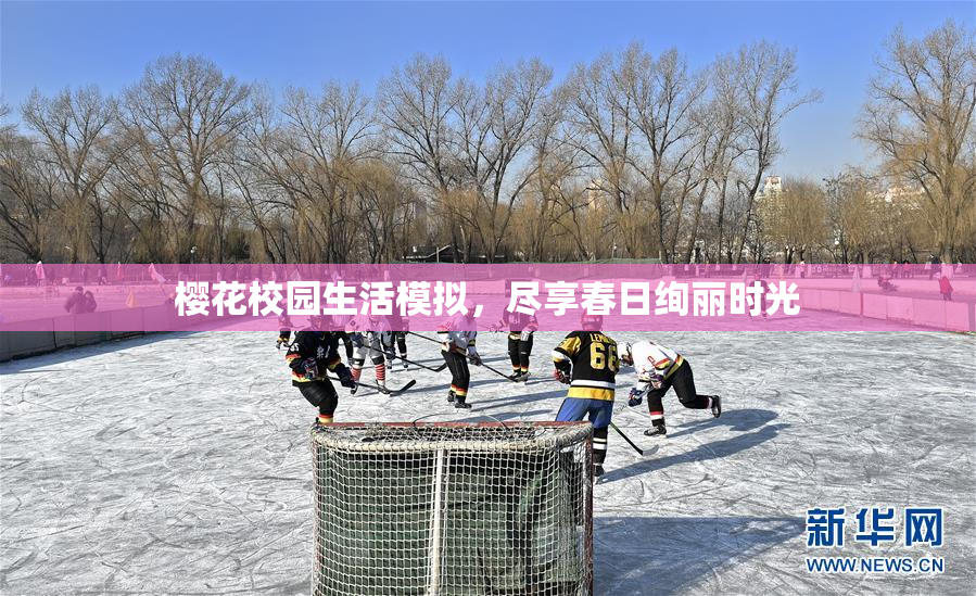 樱花校园生活模拟，尽享春日绚丽时光
