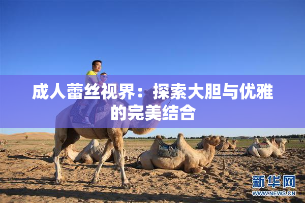 成人蕾丝视界：探索大胆与优雅的完美结合