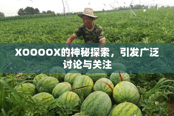 XOOOOX的神秘探索，引发广泛讨论与关注