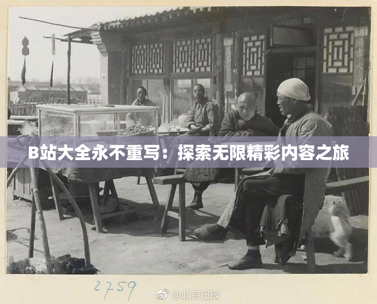 B站大全永不重写：探索无限精彩内容之旅