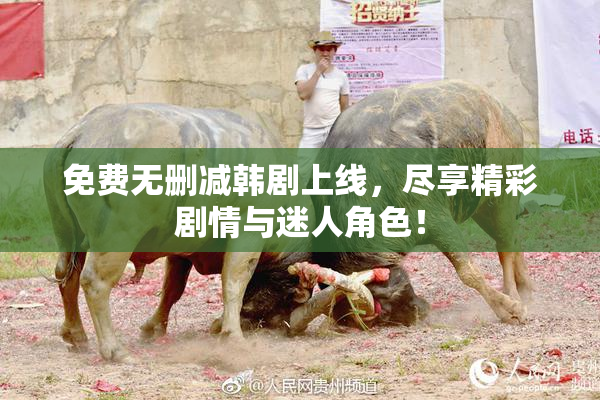 免费无删减韩剧上线，尽享精彩剧情与迷人角色！