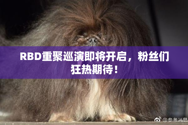 RBD重聚巡演即将开启，粉丝们狂热期待！