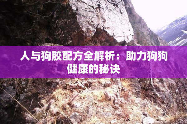 人与狗胶配方全解析：助力狗狗健康的秘诀