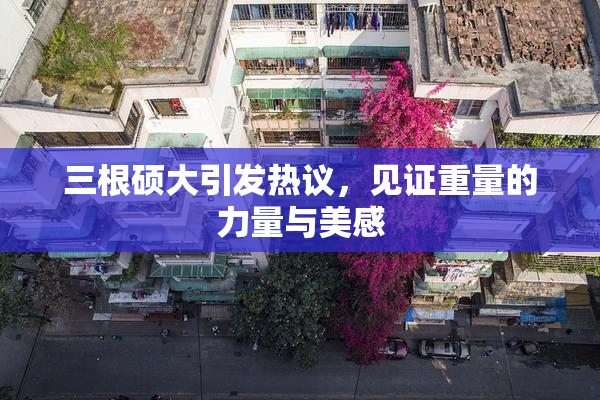 三根硕大引发热议，见证重量的力量与美感