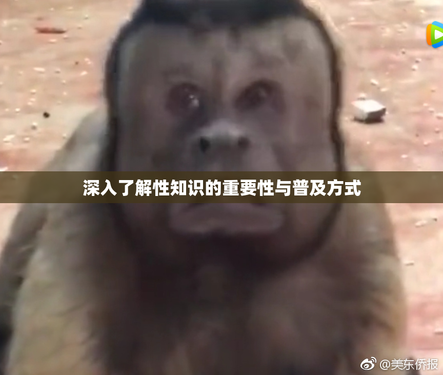 深入了解性知识的重要性与普及方式