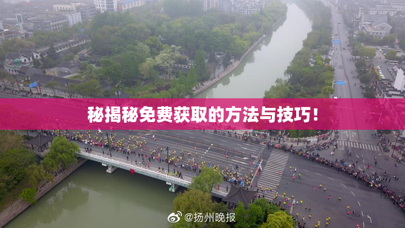 秘揭秘免费获取的方法与技巧！