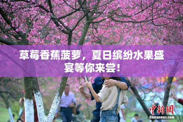 草莓香蕉菠萝，夏日缤纷水果盛宴等你来尝！