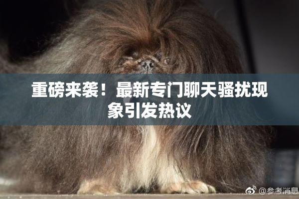 重磅来袭！最新专门聊天骚扰现象引发热议