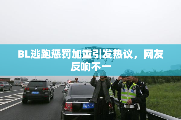 BL逃跑惩罚加重引发热议，网友反响不一