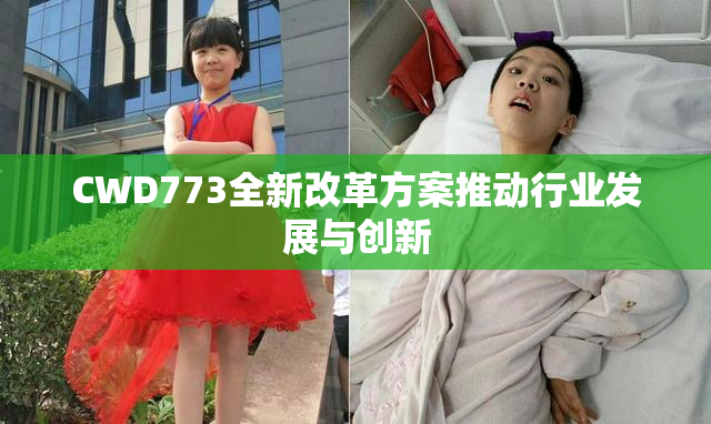 CWD773全新改革方案推动行业发展与创新