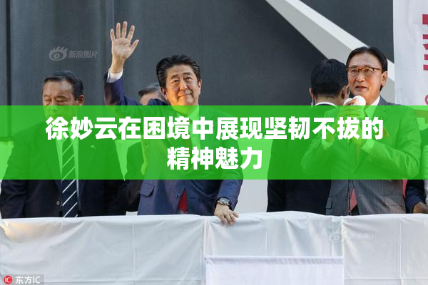 徐妙云在困境中展现坚韧不拔的精神魅力