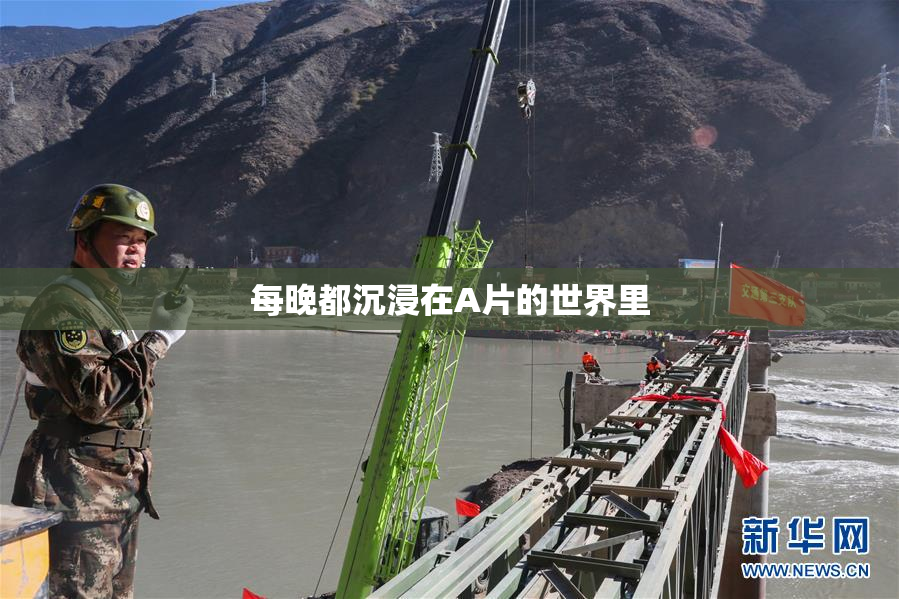 每晚都沉浸在A片的世界里