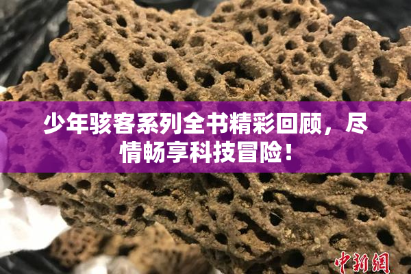 少年骇客系列全书精彩回顾，尽情畅享科技冒险！