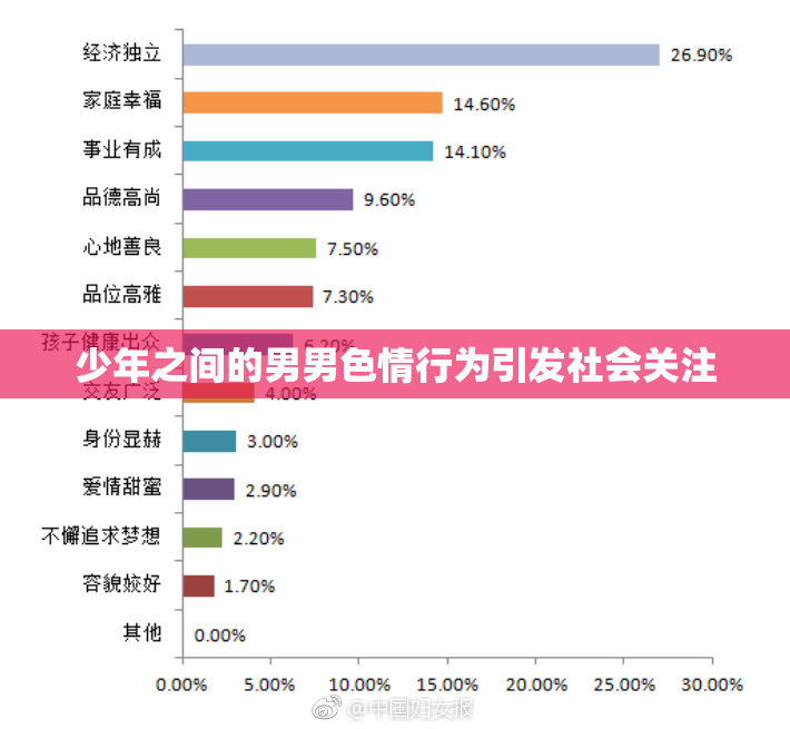 少年之间的男男色情行为引发社会关注