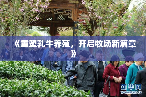 《重塑乳牛养殖，开启牧场新篇章》