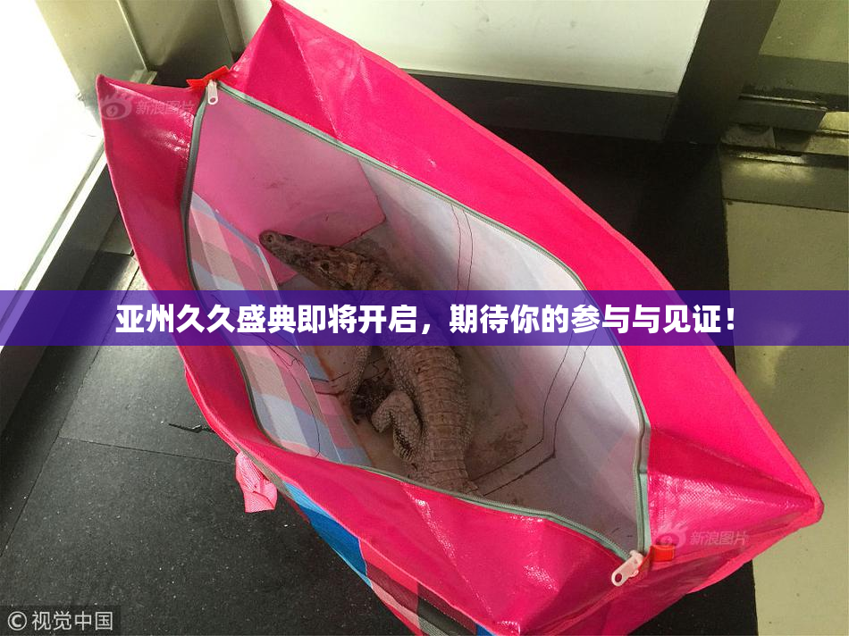 亚州久久盛典即将开启，期待你的参与与见证！