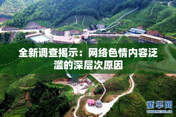 全新调查揭示：网络色情内容泛滥的深层次原因