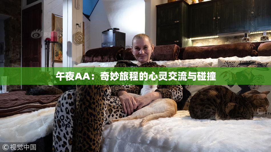 午夜AA：奇妙旅程的心灵交流与碰撞