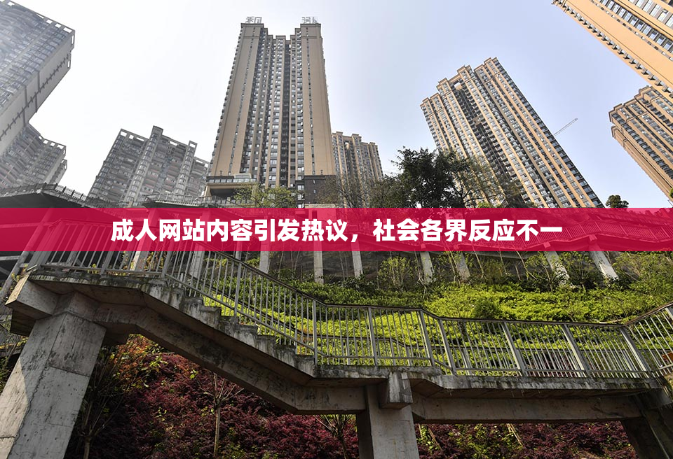 成人网站内容引发热议，社会各界反应不一