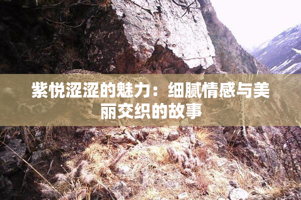 紫悦涩涩的魅力：细腻情感与美丽交织的故事