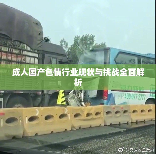 成人国产色情行业现状与挑战全面解析
