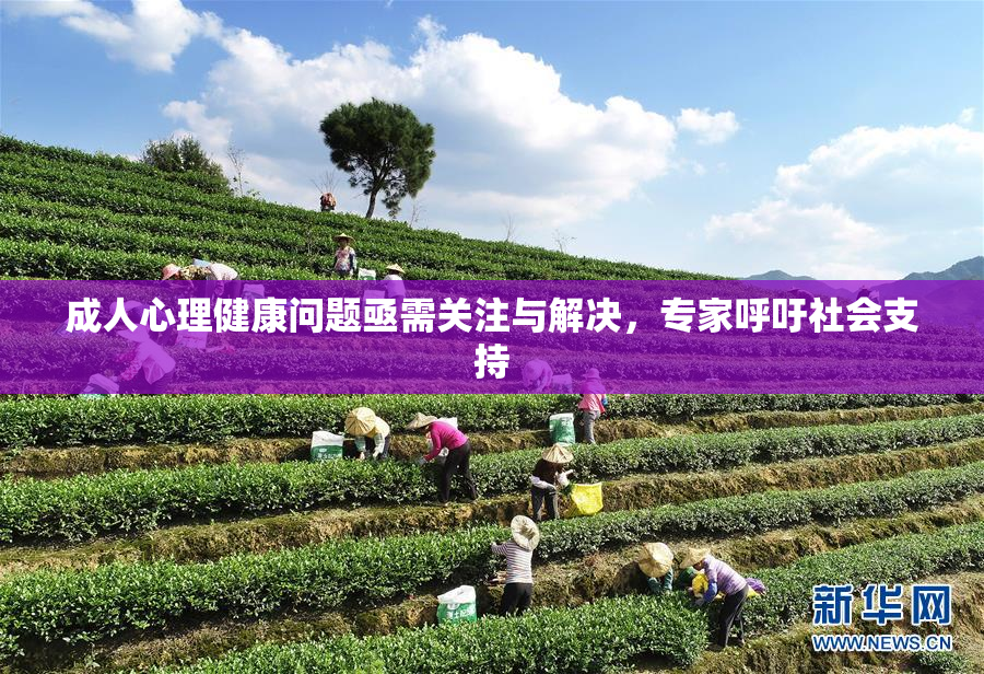 成人心理健康问题亟需关注与解决，专家呼吁社会支持