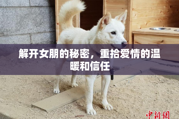 解开女朋的秘密，重拾爱情的温暖和信任