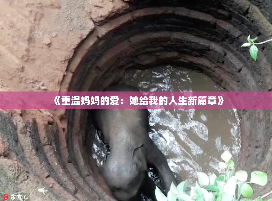 《重温妈妈的爱：她给我的人生新篇章》