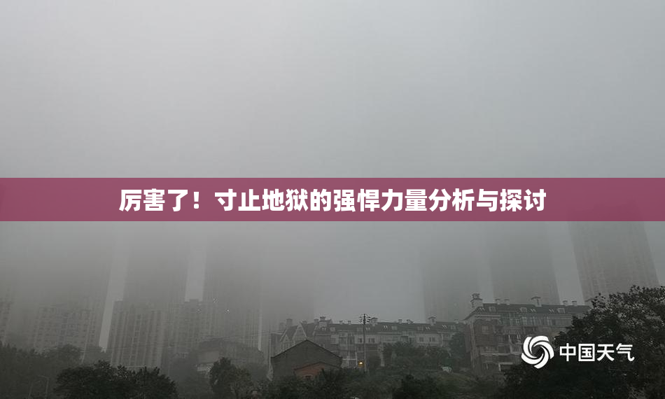 厉害了！寸止地狱的强悍力量分析与探讨