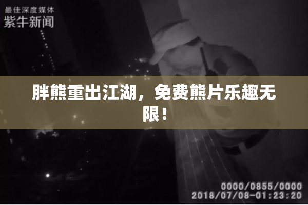 胖熊重出江湖，免费熊片乐趣无限！