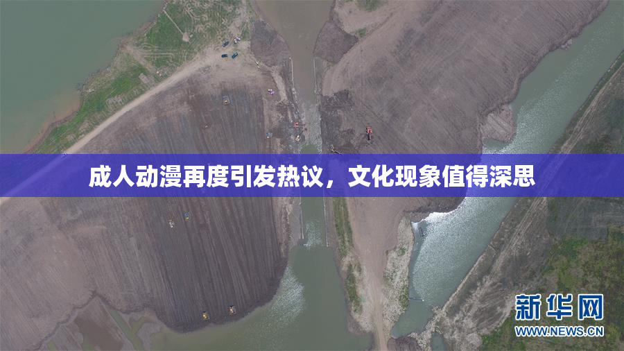 成人动漫再度引发热议，文化现象值得深思