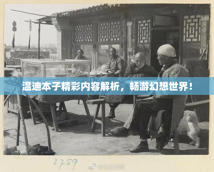 温迪本子精彩内容解析，畅游幻想世界！
