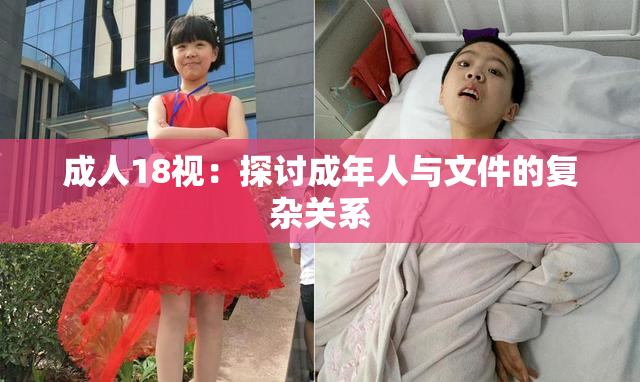 成人18视：探讨成年人与文件的复杂关系