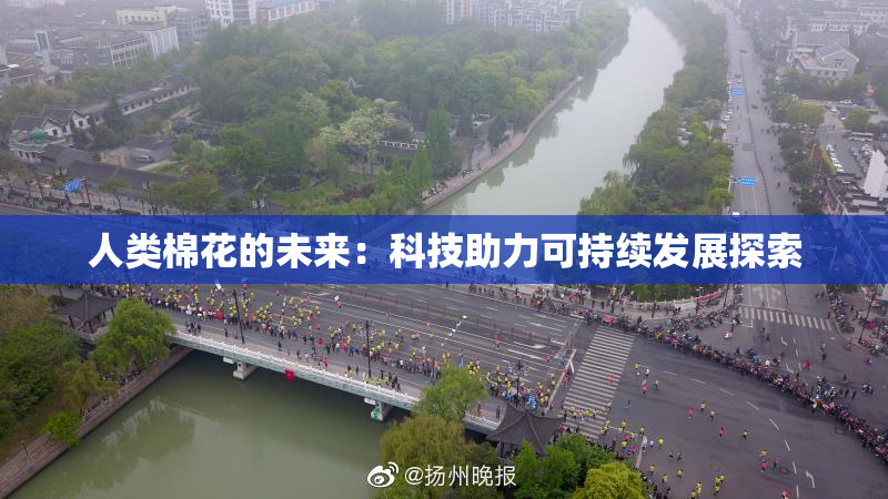 人类棉花的未来：科技助力可持续发展探索