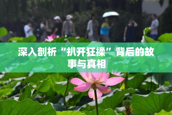 深入剖析“扒开狂揉”背后的故事与真相