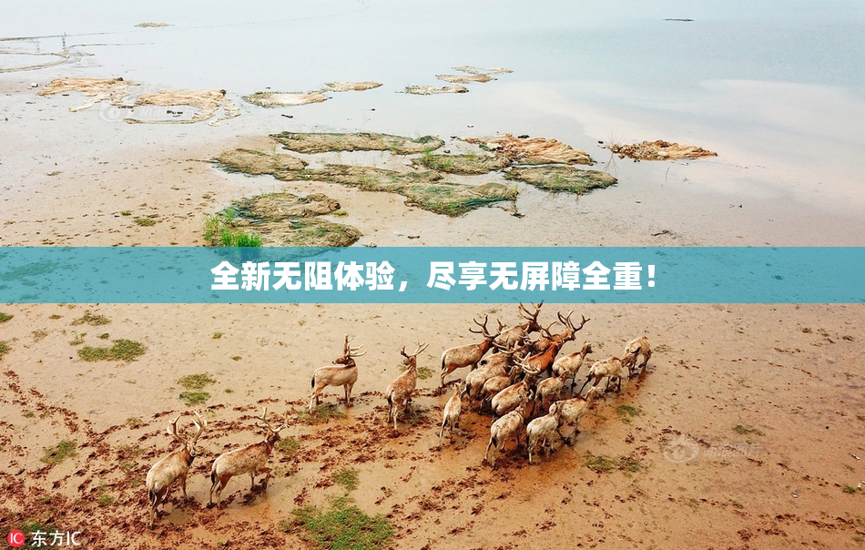 全新无阻体验，尽享无屏障全重！