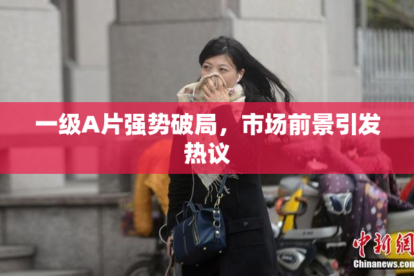 一级A片强势破局，市场前景引发热议