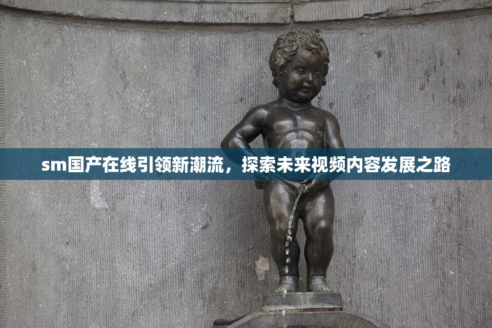 sm国产在线引领新潮流，探索未来视频内容发展之路