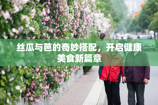 丝瓜与芭的奇妙搭配，开启健康美食新篇章