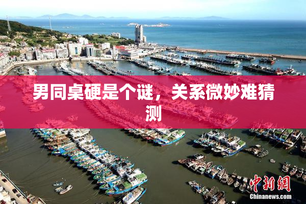 男同桌硬是个谜，关系微妙难猜测