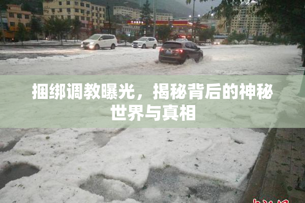 捆绑调教曝光，揭秘背后的神秘世界与真相