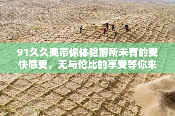 91久久爽带你体验前所未有的爽快感受，无与伦比的享受等你来试！