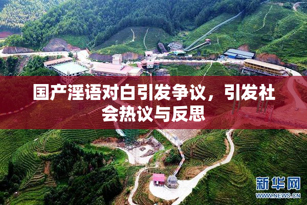 国产淫语对白引发争议，引发社会热议与反思