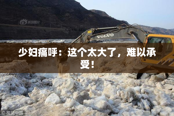 少妇痛呼：这个太大了，难以承受！