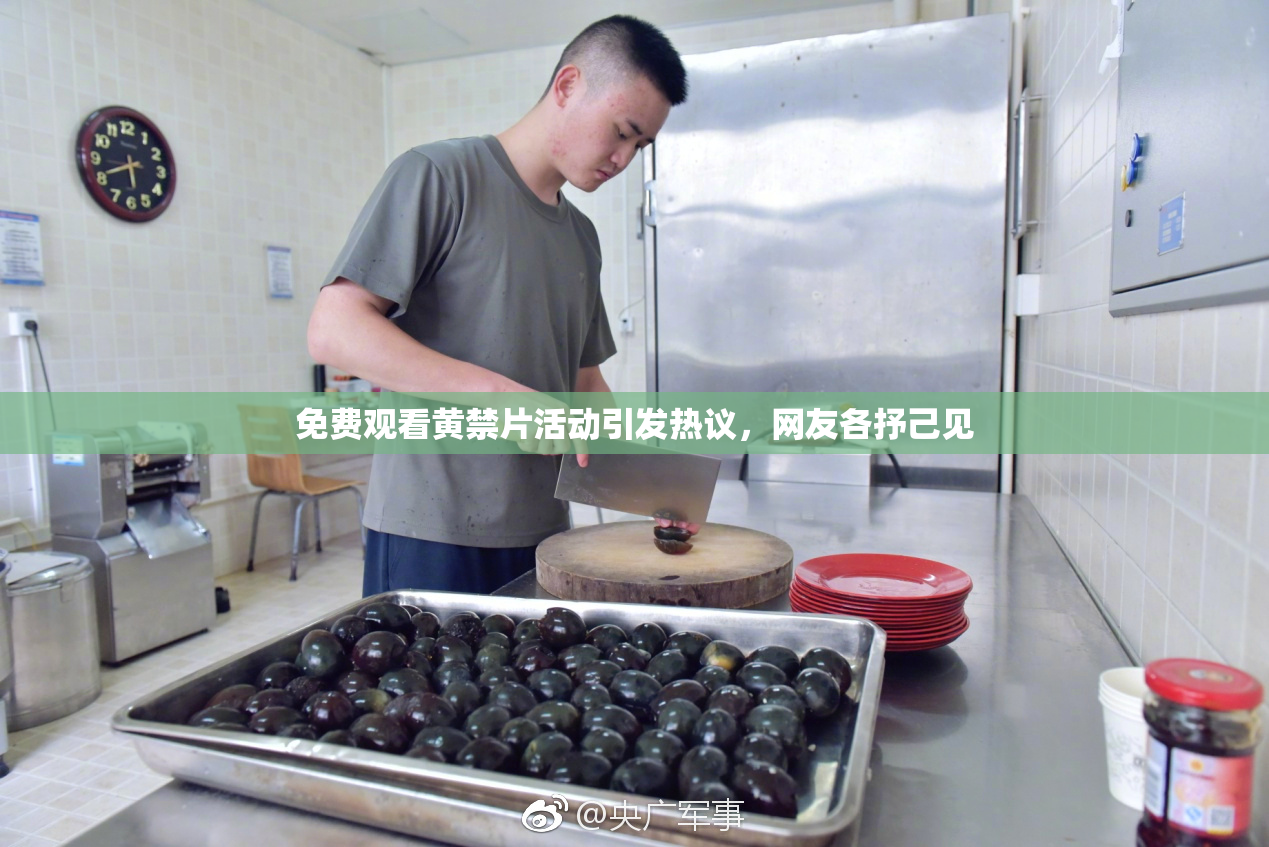 免费观看黄禁片活动引发热议，网友各抒己见