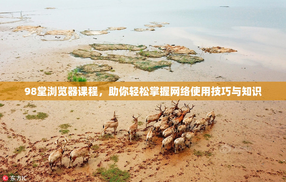 98堂浏览器课程，助你轻松掌握网络使用技巧与知识