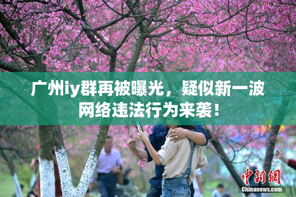 广州iy群再被曝光，疑似新一波网络违法行为来袭！