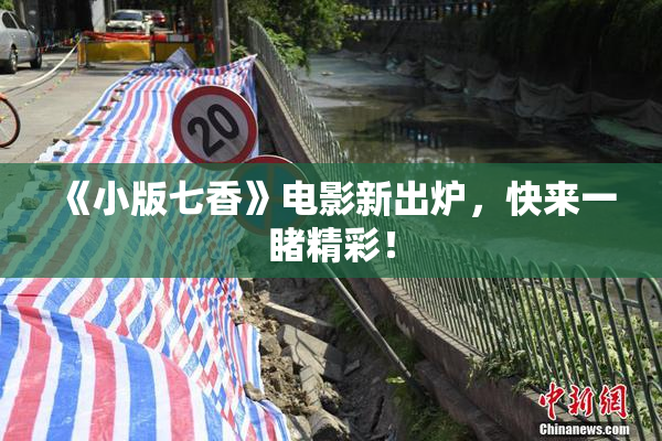 《小版七香》电影新出炉，快来一睹精彩！